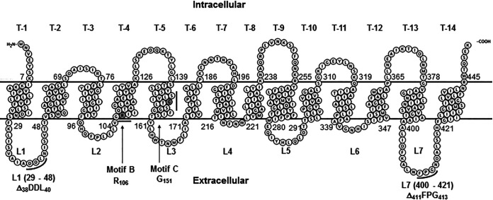 FIG 1