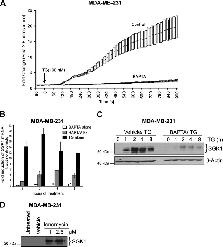 FIGURE 4.