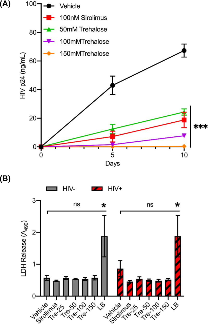 FIG 1