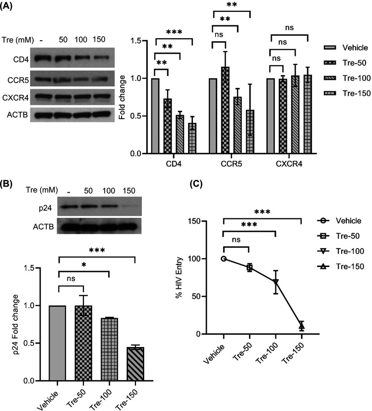 FIG 8