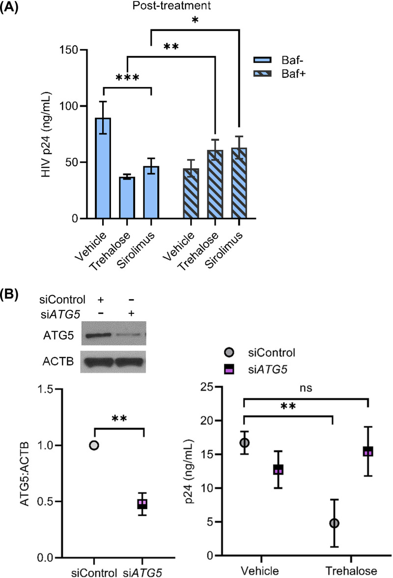 FIG 6