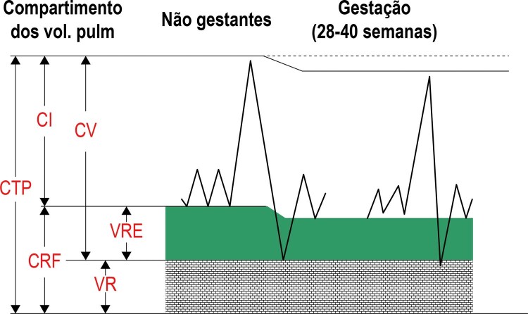 Figura 4