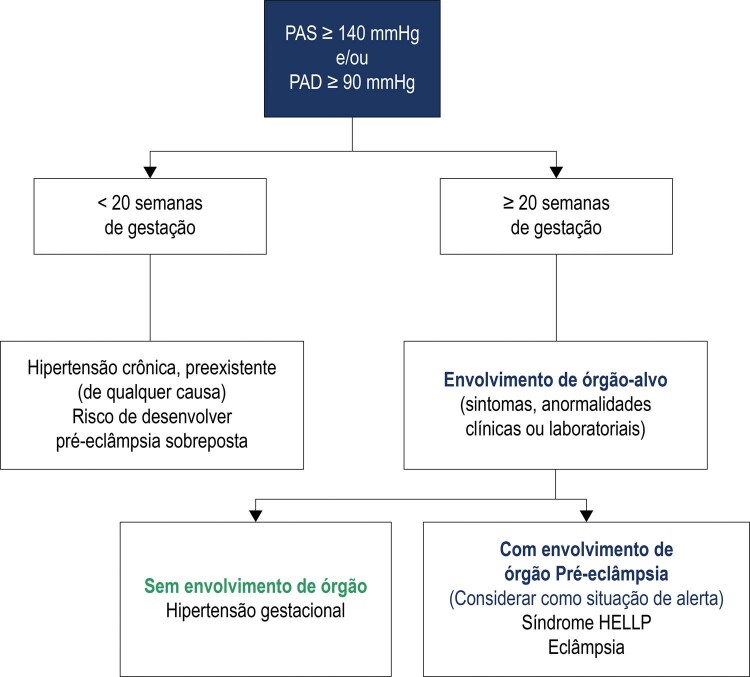 Figura 8