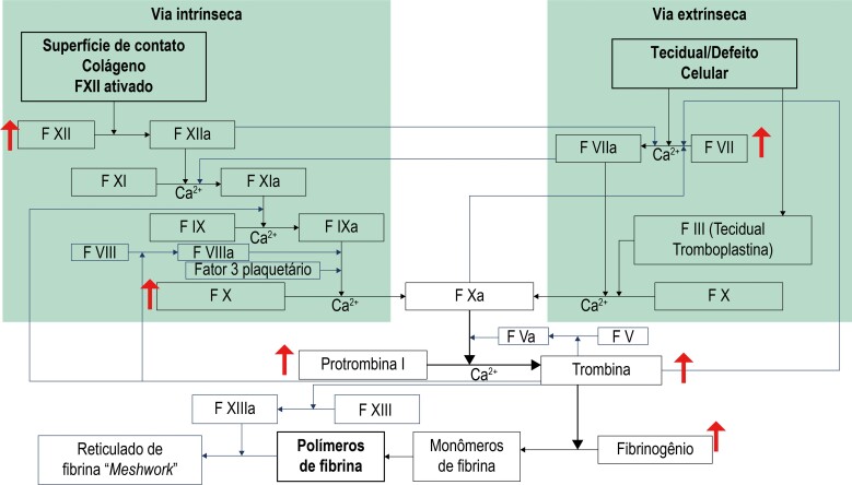 Figura 3