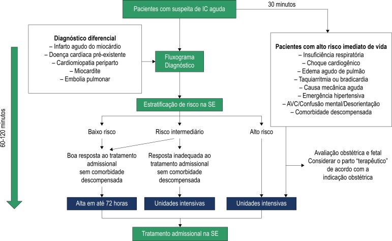 Figura 12