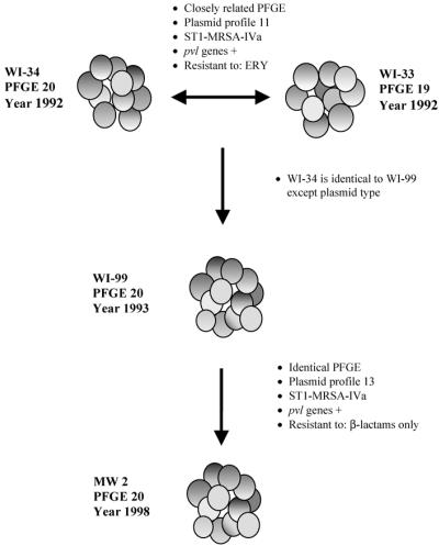 FIG. 5.