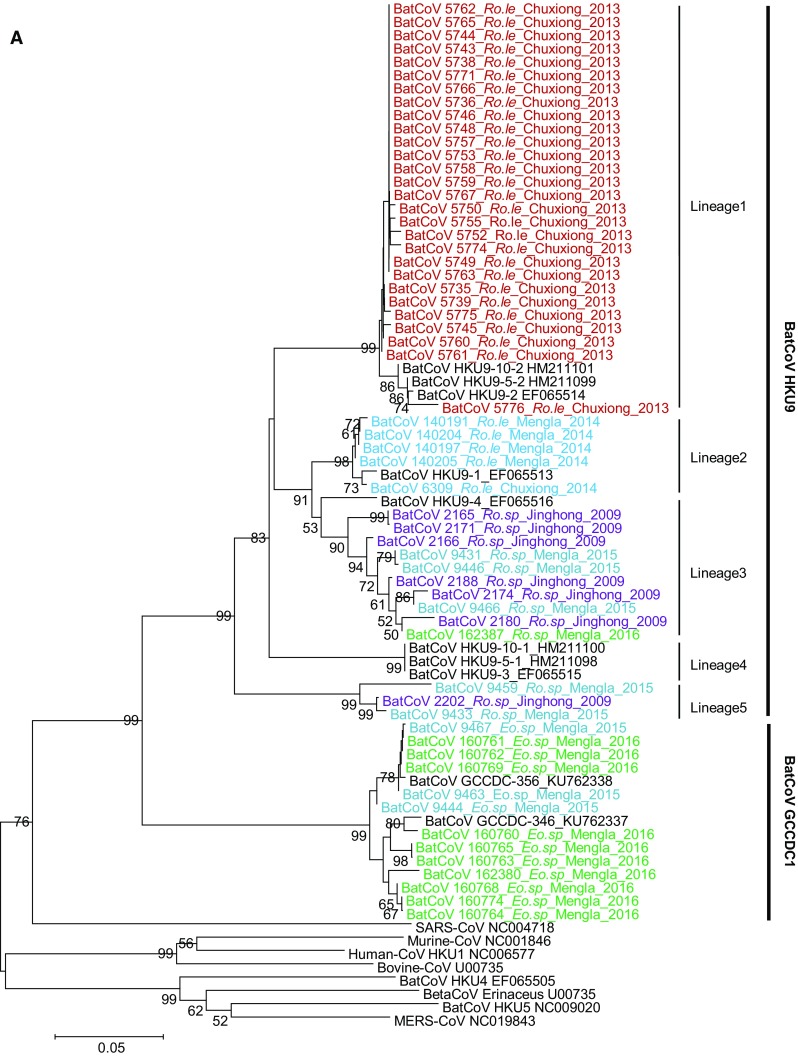 Fig. 2