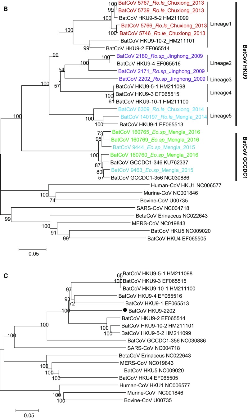 Fig. 2