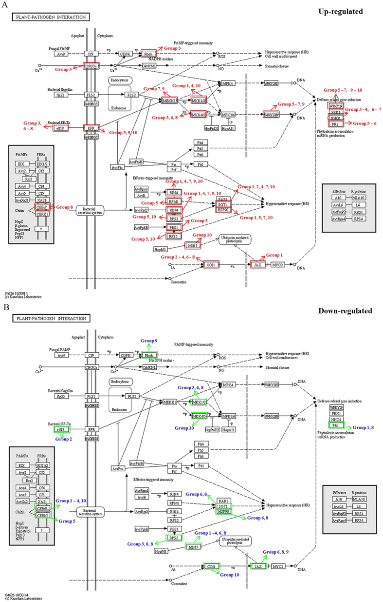 Figure 5