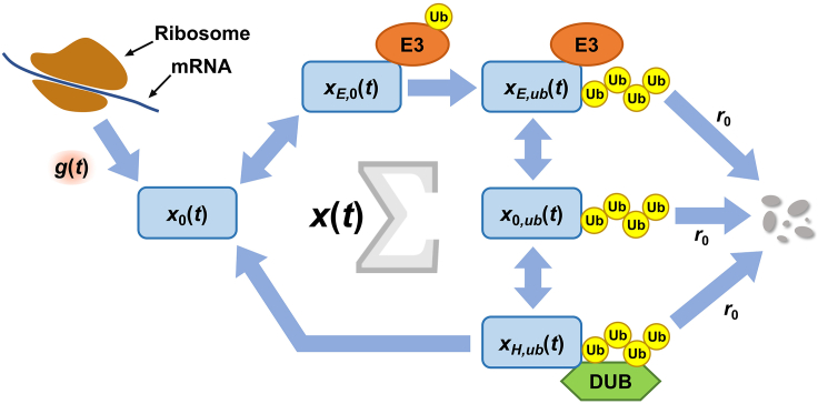 Figure 1