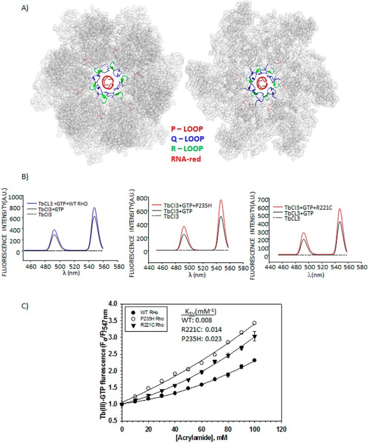 FIGURE 6.