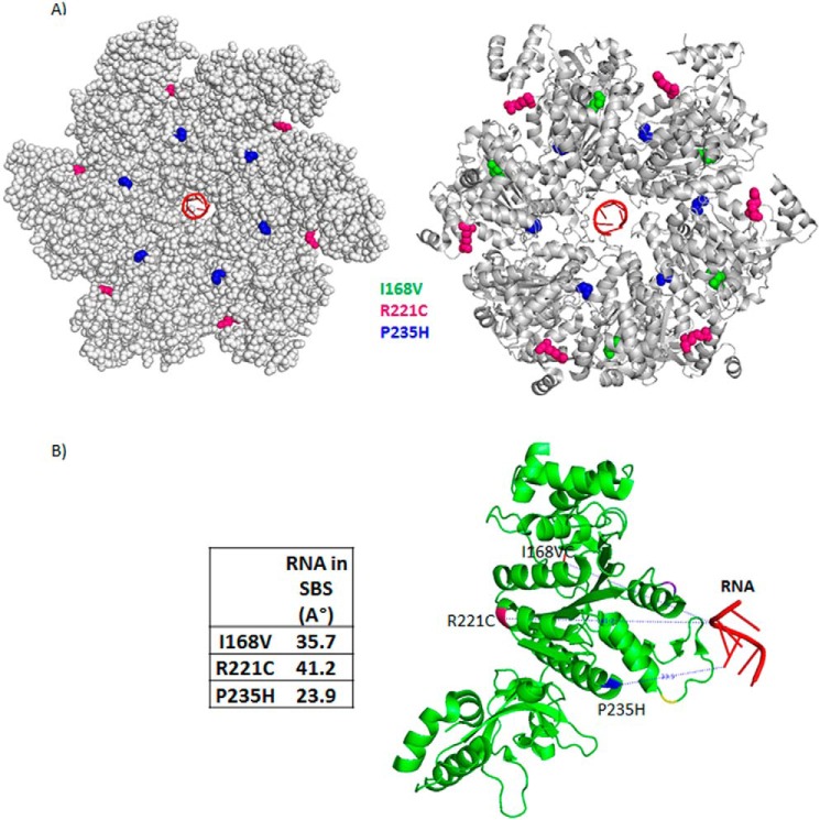 FIGURE 4.