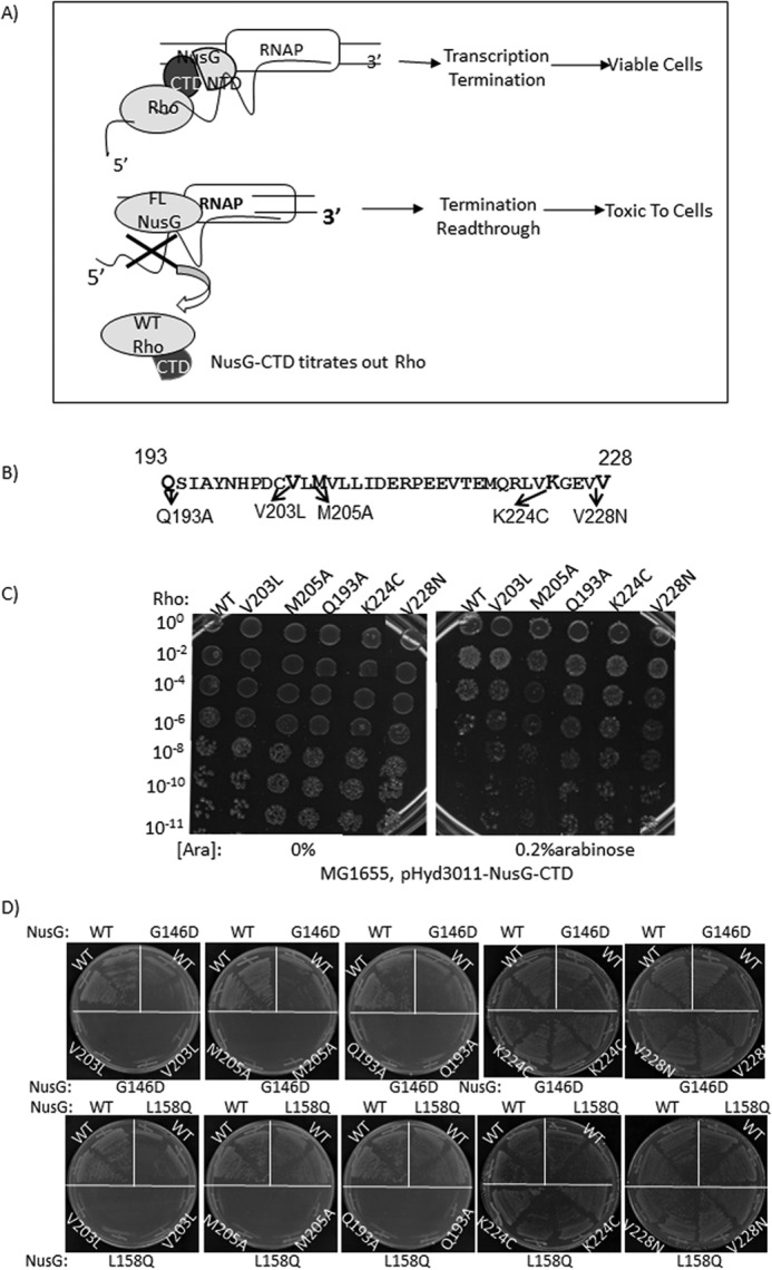 FIGURE 9.