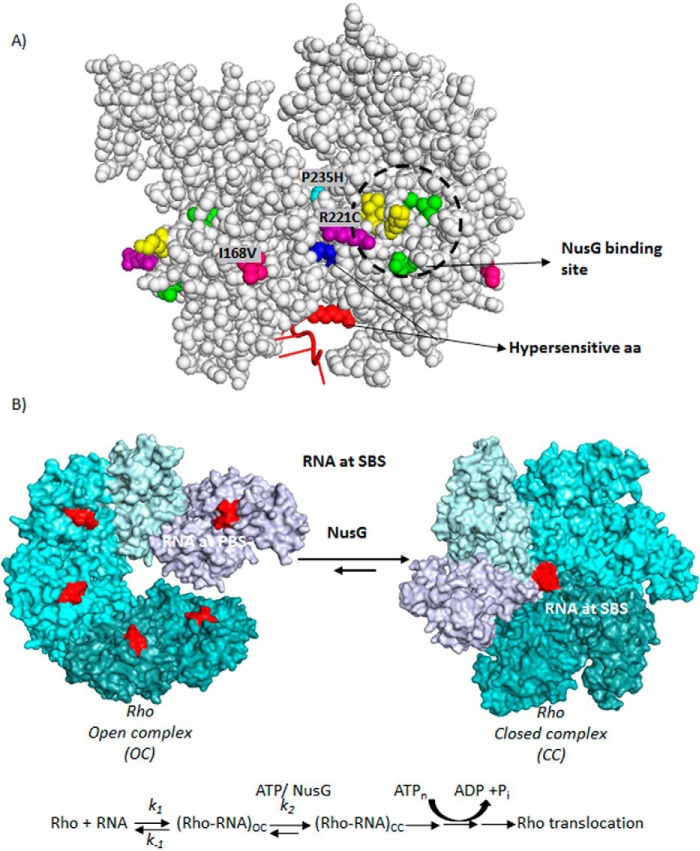 FIGURE 10.