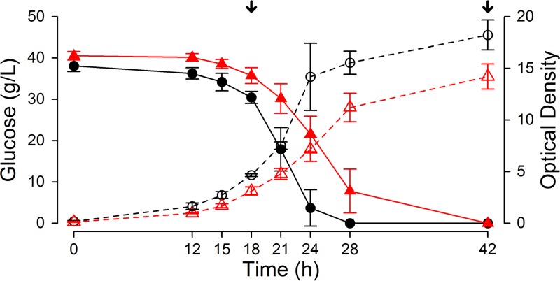 FIG 1