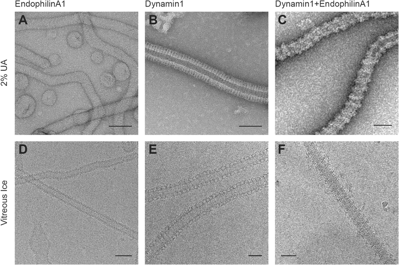 Figure 5: