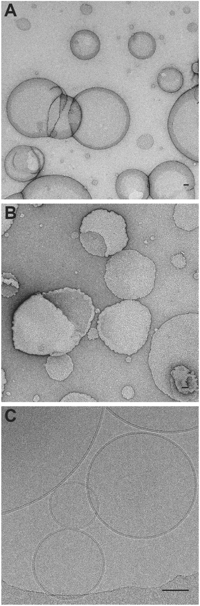 Figure 4: