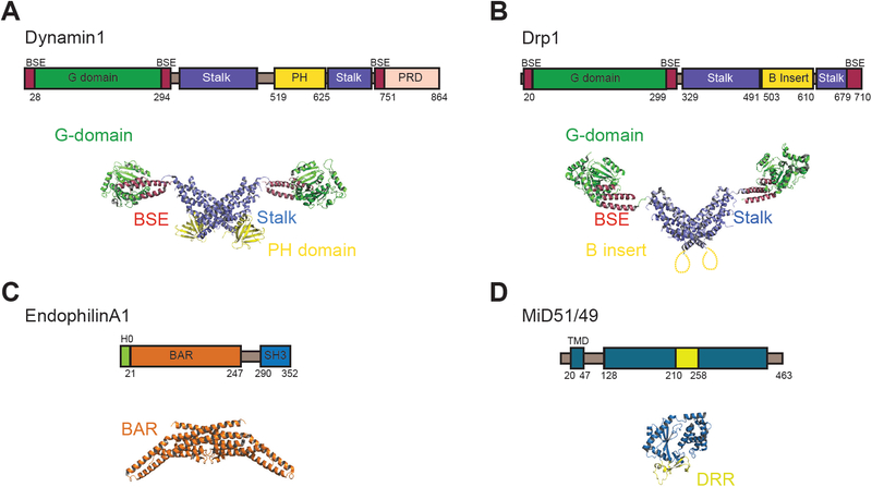 Figure 2: