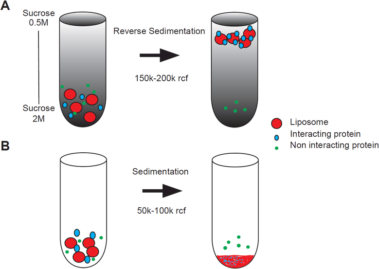 Figure 3: