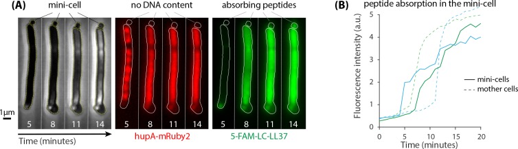 Figure 6.