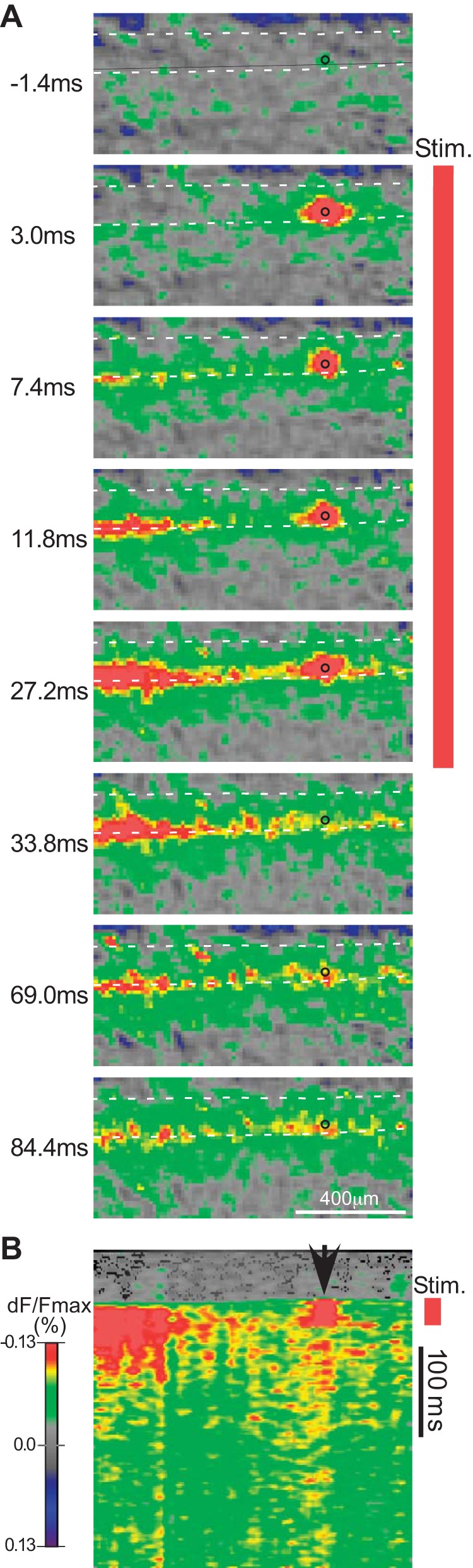 Fig. 6.