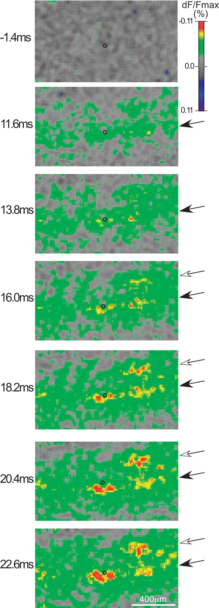 Fig. 8.