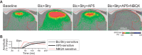 Fig. 5.