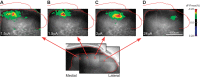 Fig. 3.