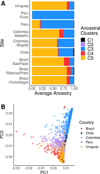 Figure 1: