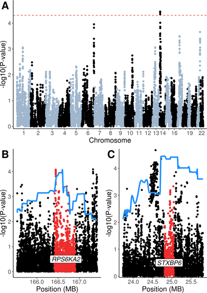 Figure 4: