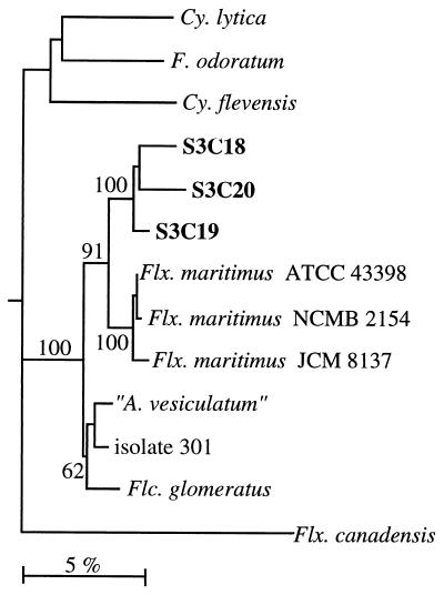 FIG. 5