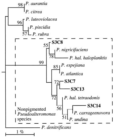 FIG. 3