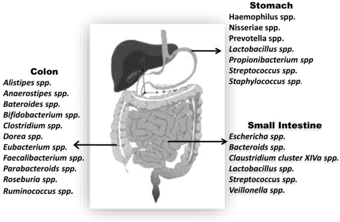 Fig 2: