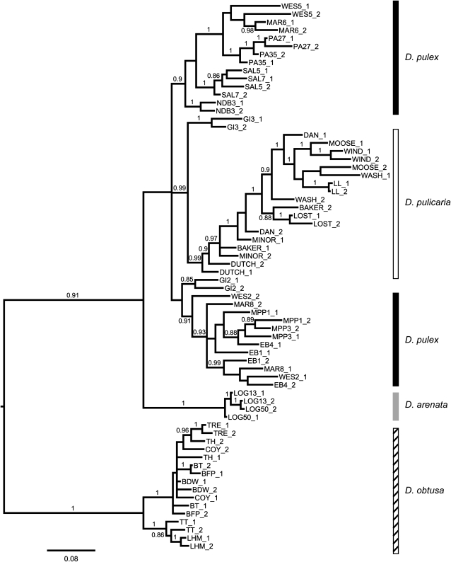 Figure 2.—