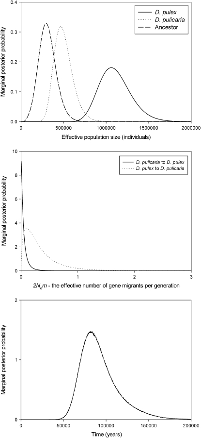 Figure 3.—