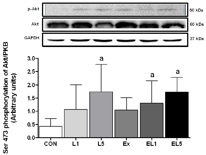 Fig. 5.