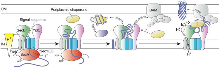 Figure 7.