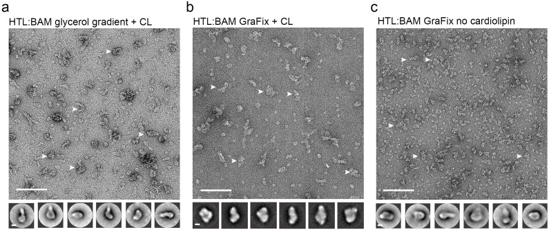 Figure 2—figure supplement 2.