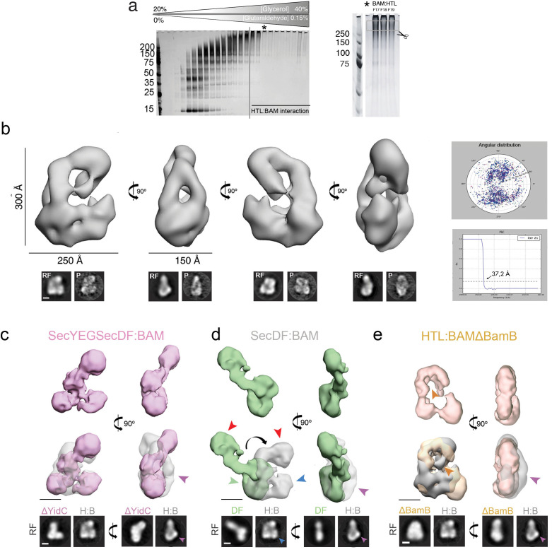 Figure 2—figure supplement 3.