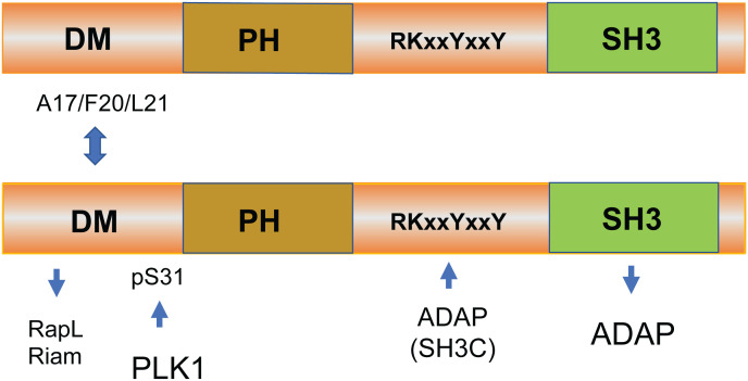 Figure 1