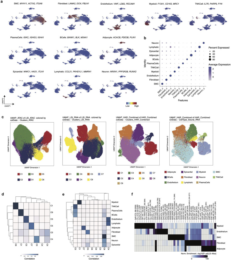 Extended Data Figure 2.