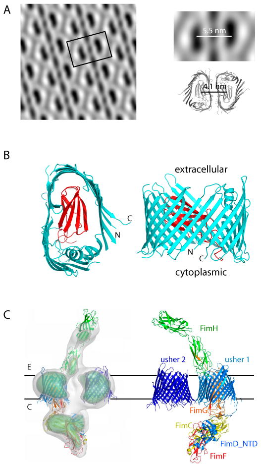 Fig. 3