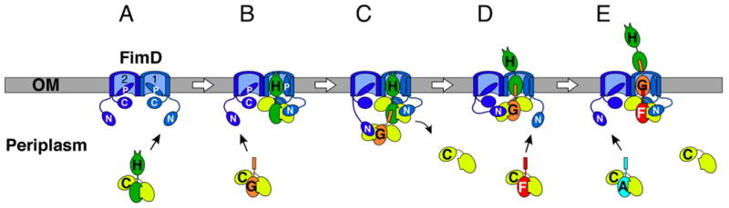 Fig. 4