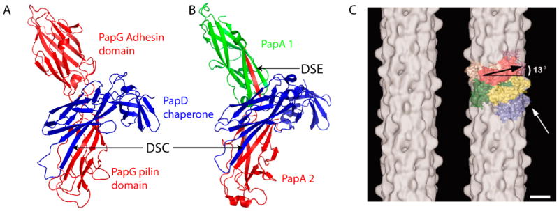 Fig. 2