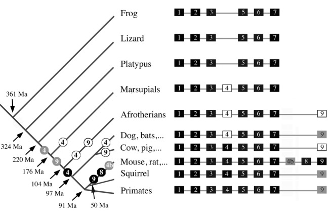 Figure 4.