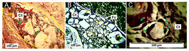 Figure 9