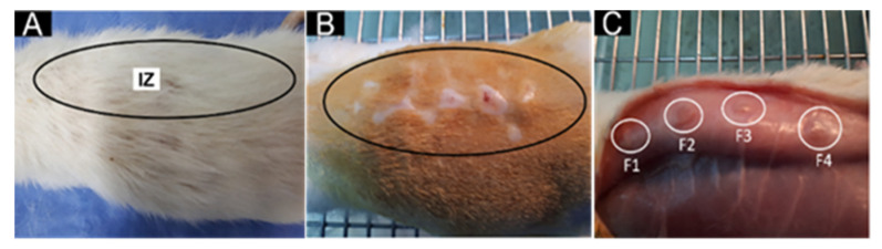 Figure 6