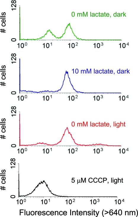 FIG. 2.