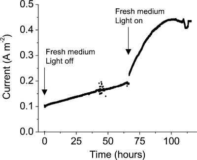 FIG. 6.