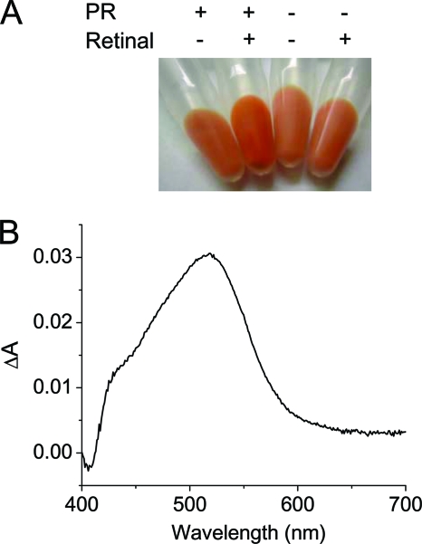 FIG. 1.